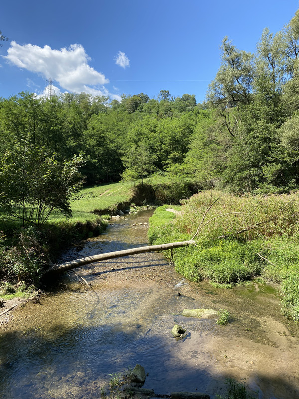 1B27AA88-D086-44B8-89D6-C387A28EE123