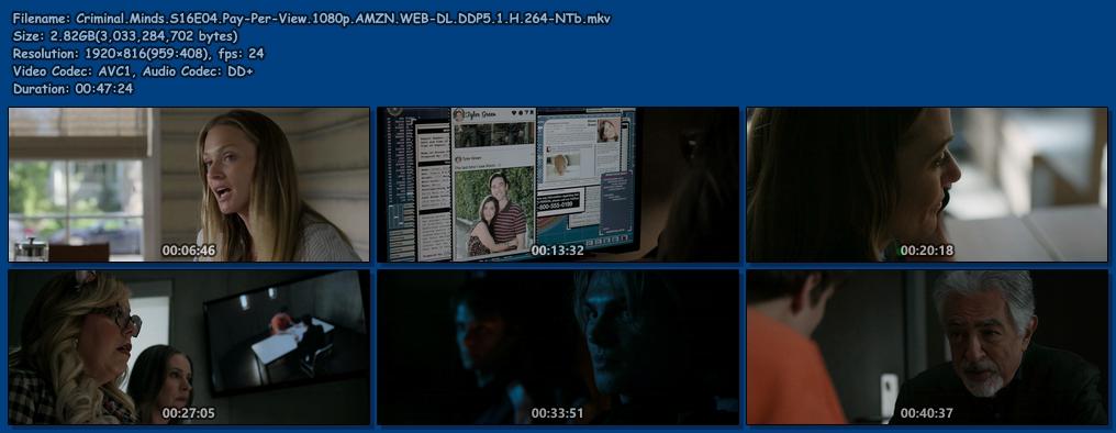 Criminal-Minds-S16-E04-Pay-Per-View-1080p-AMZN-WEB-DL-DDP5-1-H-264-NTb.png