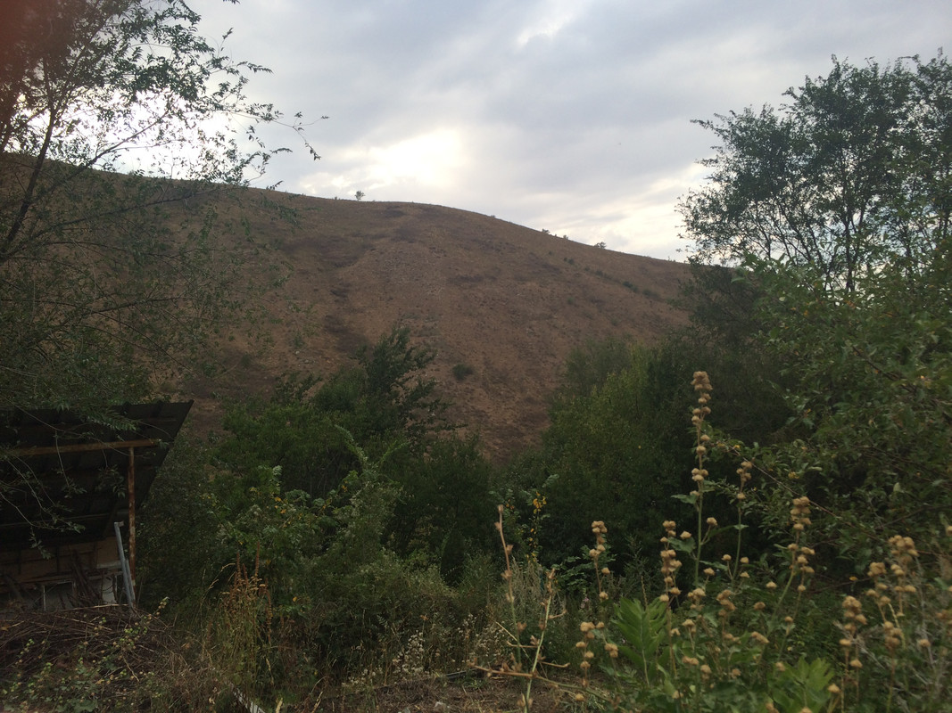 94A4E213-3D0E-4667-B4FC-AA72D3BDB0AD