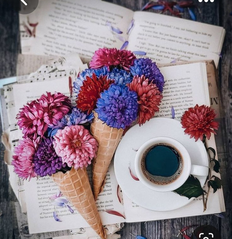 Screenshot_20230528_212628_Pinterest