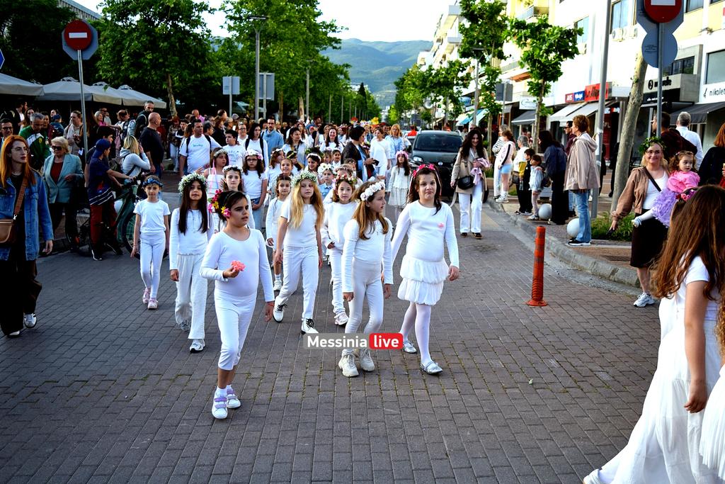anthestiria-DSC-1159