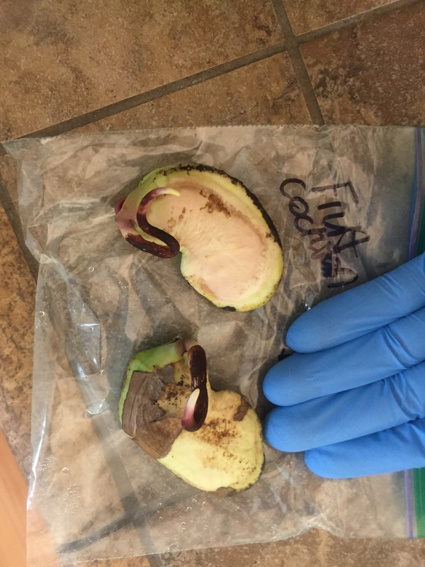 728E7389-4088-4E7F-8C01-CB65189D7098