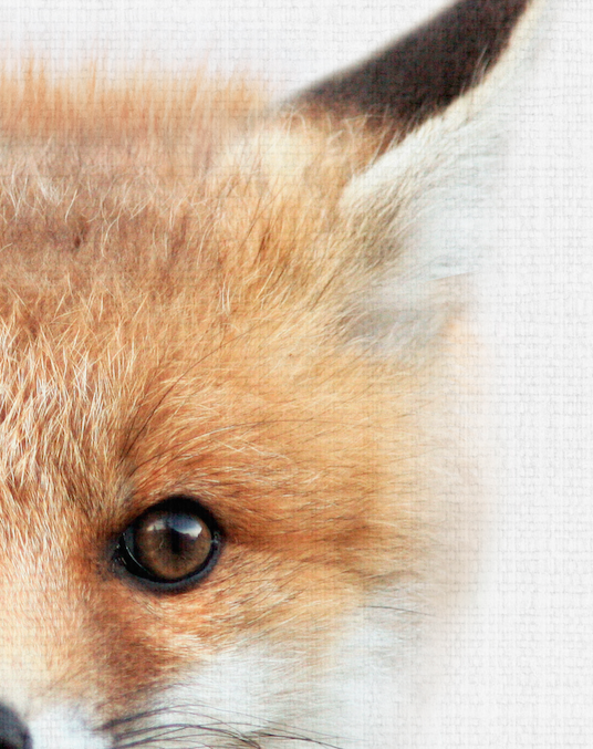 Capture d’écran 2017-06-19 à 09.06.54