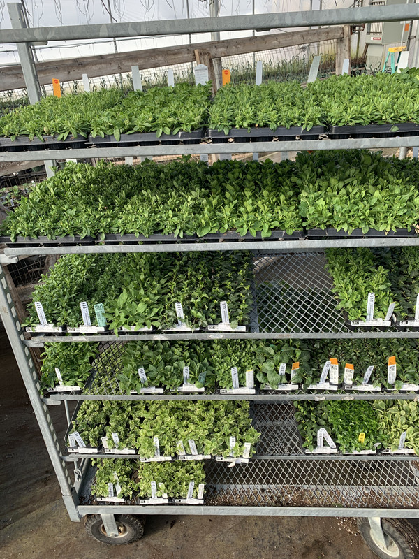 E7C9496C-B159-4B4B-A2CE-096C1FE8CB0E