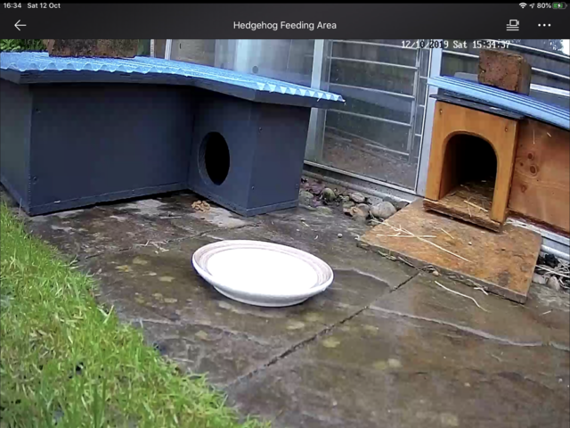 528C7793-09FF-44E1-8A40-6259421E8782