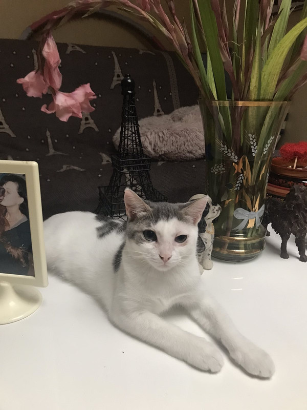 DEFBD574-CFA8-451C-9351-480572C37A39