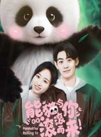 Gấu Trúc Và Bạn Lăn Đến Đây