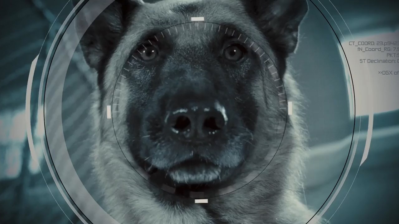 Cats & Dogs: The Revenge of Kitty Galore 2010 BluRay [Hindi + Tamil + English] 480p 720p ESub Screenshot