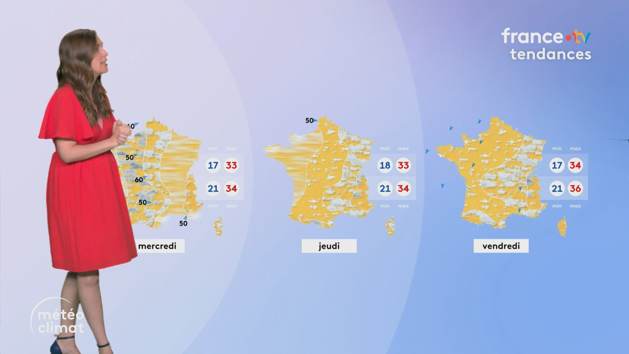 Journal 13h00 (France 2)_2025_08_11_11_55_95.ts_snapshot_02.17.475