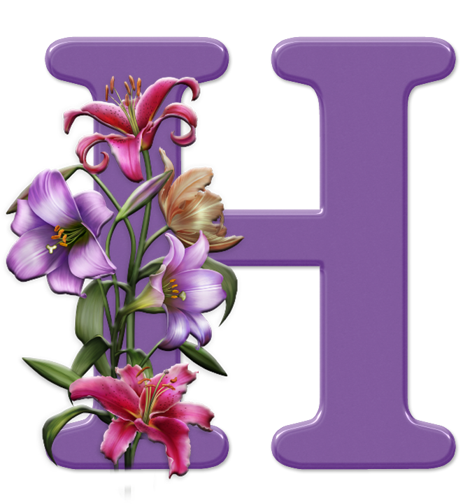 purple-H-new.png