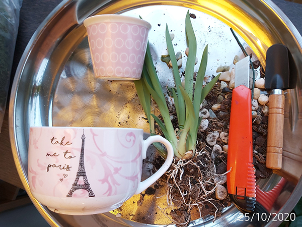 [Image: IMG-20201025-174116.jpg]