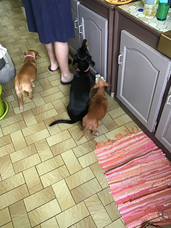 [Image: EBDDA650-DD21-42-B6-AC07-FA6-FDF5-EA57-B.jpg]