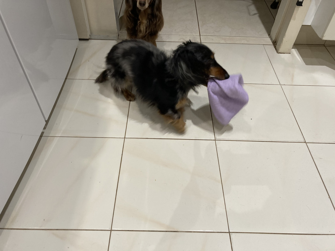 [Image: IMG-4106.jpg]