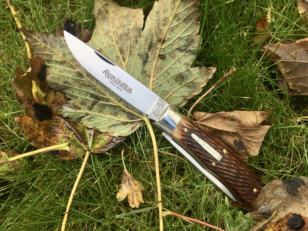 DF3D9602-40F9-4744-95CA-ABF294BED811