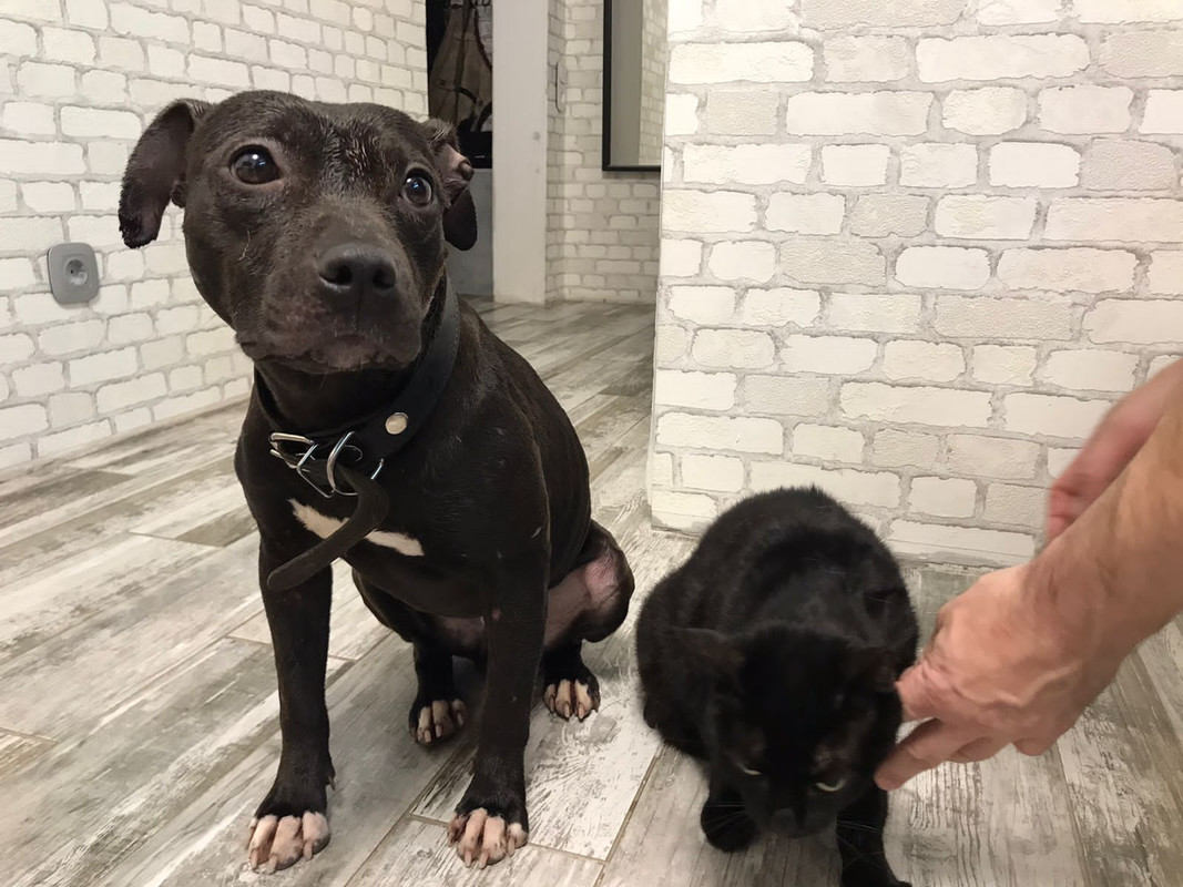 AD07BCB3-B481-4500-B3C1-8385BDD81C19