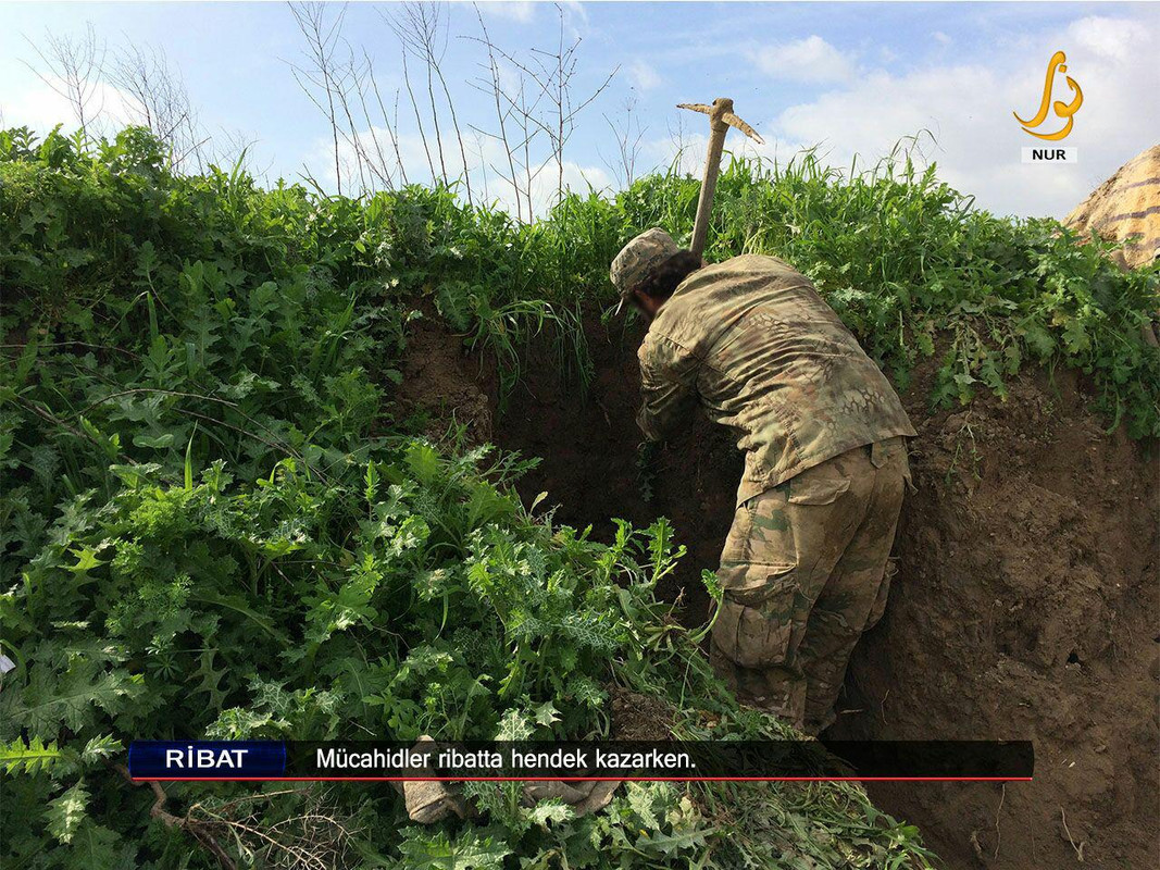 photo_2018-05-11_18-39-44