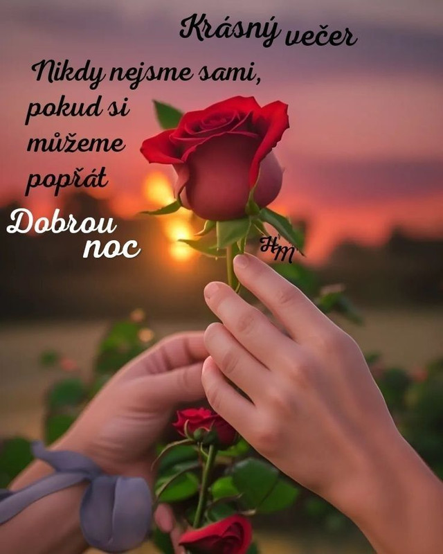 646cb35a5a4714ba54f84a62fe67d736