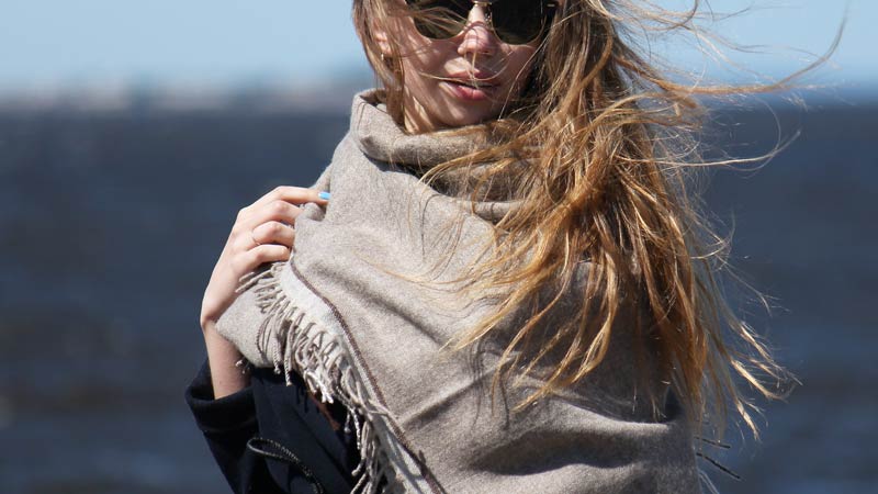 100% ������ ������ ������ ����������