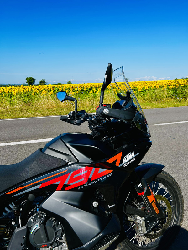 49D8CFC8-8F20-408B-9438-879D2F137B4D