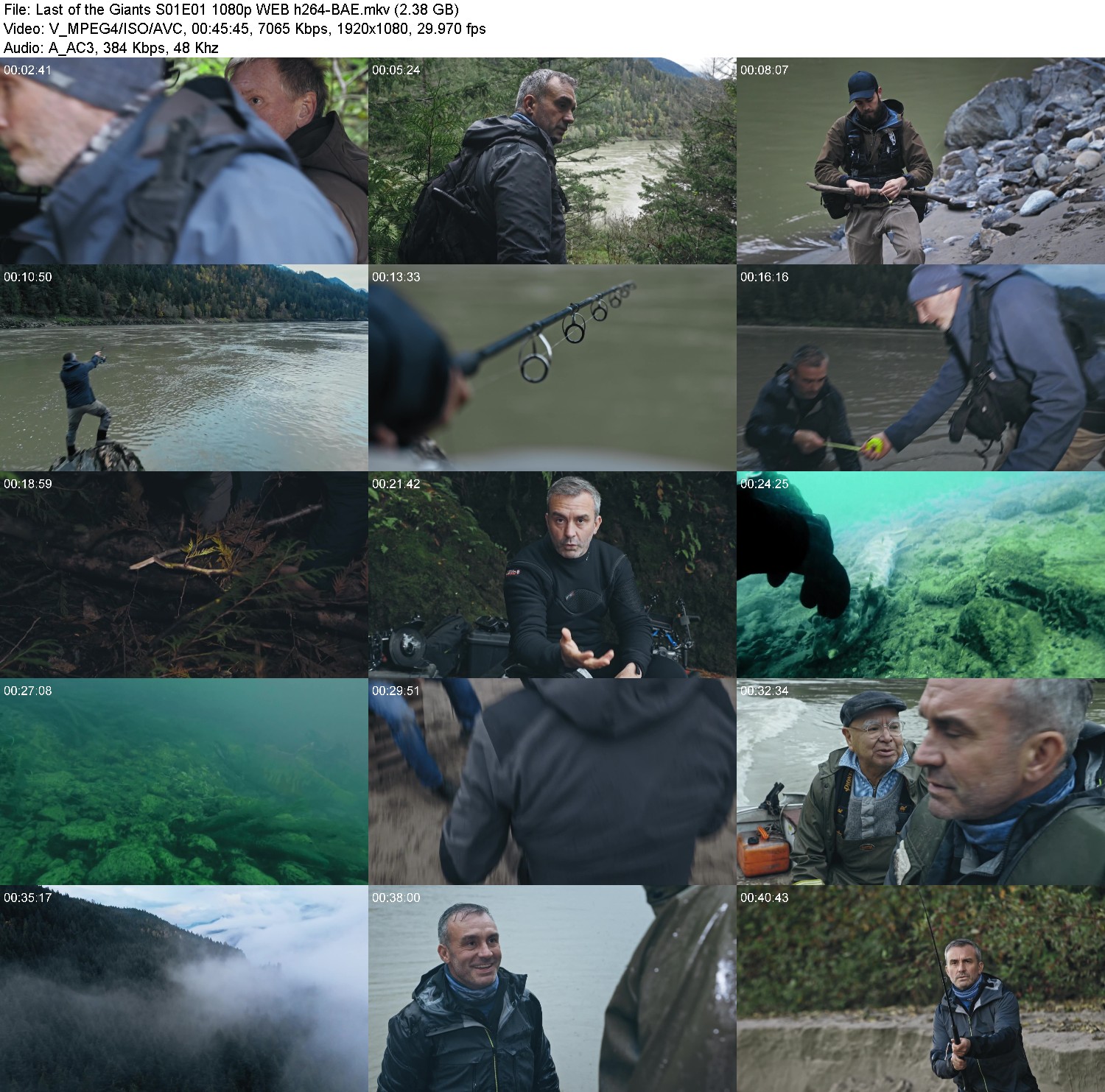 [Image: dtkb052ss3ry.jpg]