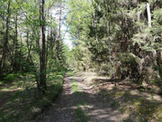 IMG-20180509-122119