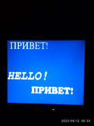 16944536199686575679469606676904.jpg