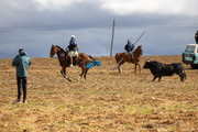 IMG-0067