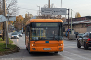 IMG-1250