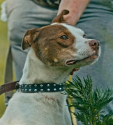 Screenshot_20230623_193611_Gallery