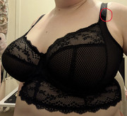 Charley-0260527-141840757