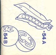 1362566413