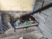 WhatsApp Image 2021-02-17 at 14.32.37 (1)