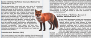 [Image: renard.png]