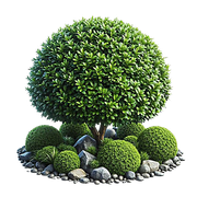 GL-element35