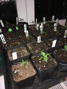 E1B19A01-B9A9-43C3-AFDE-0358D7B74617