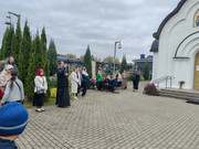 IMG-3338