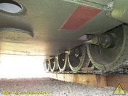 IMG-3554