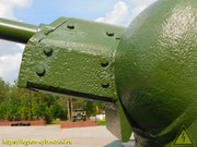 DSCN5208