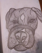 26068837_1855649647813381_4285841783281156096_n