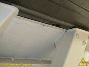 IMG-3481