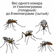 https://i.postimg.cc/bStsv2T0/019.png