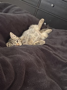 EB07EB9A-87C8-4EB3-815E-96F07B27D286