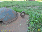 IMG-1425