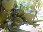 DSCN6817