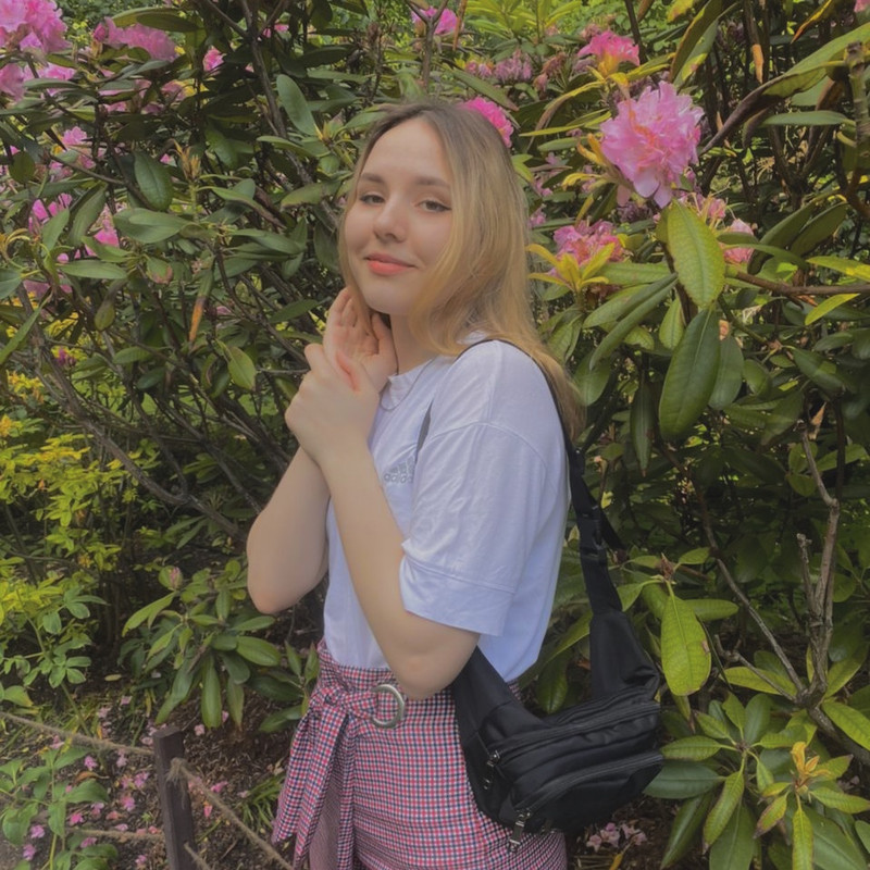 8695BEA5-BB13-4CE2-A3DE-FCED8379633F