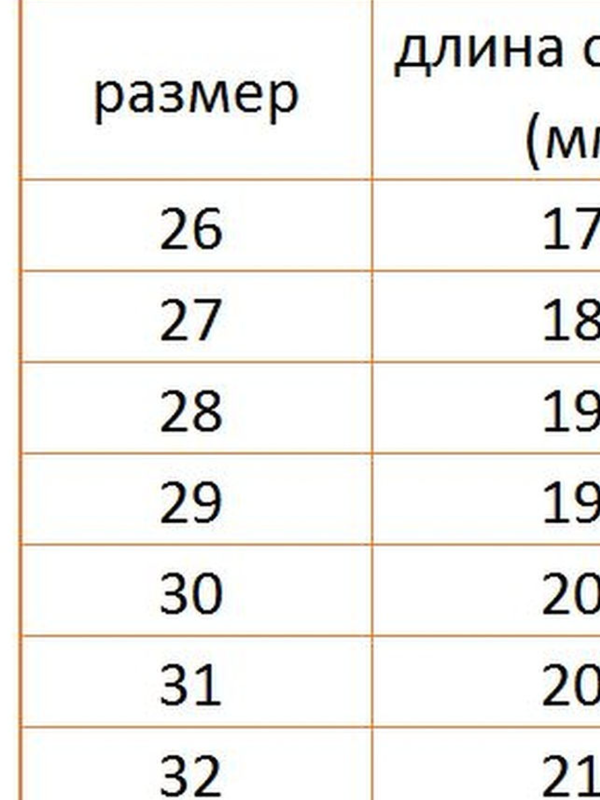 Без названия (5)