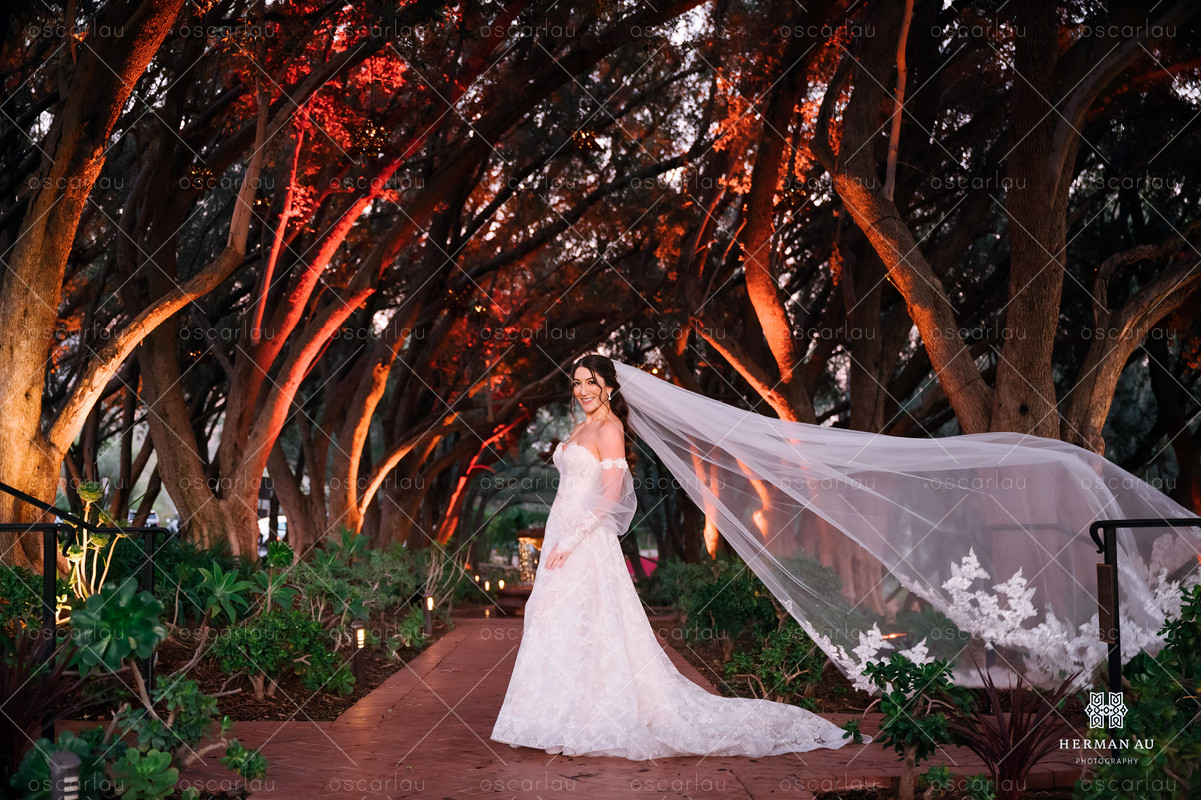 N8p6dibhqd4a1 Wm Postimages