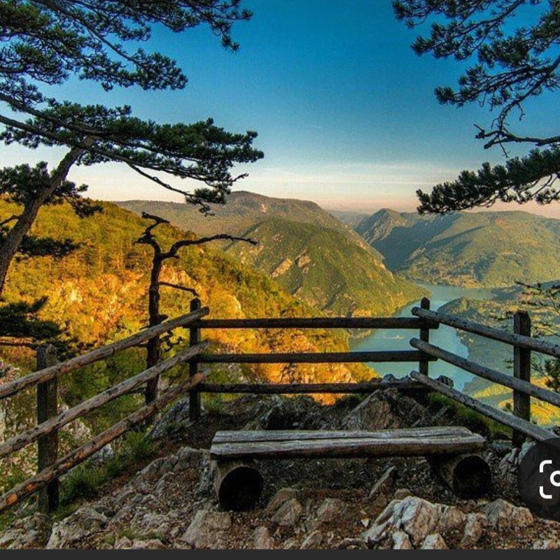 Screenshot_20231119_101227_Pinterest