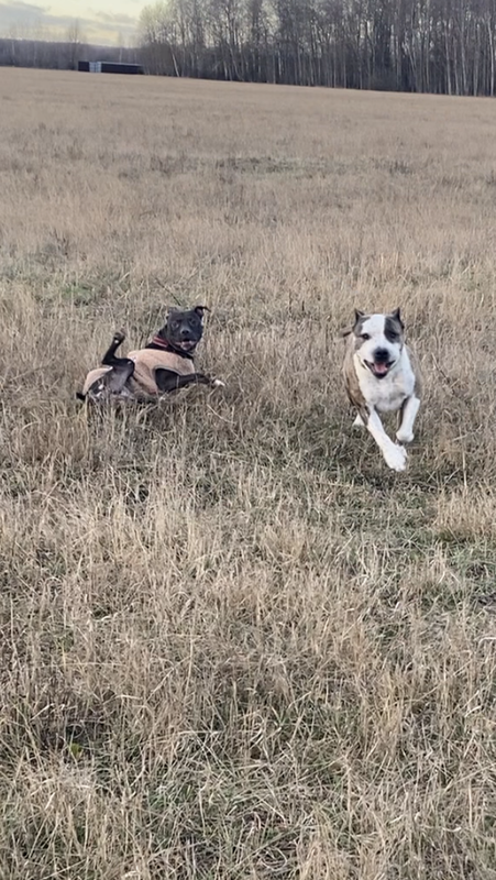 6A4F1222-E0AA-451F-854E-758716EE7560