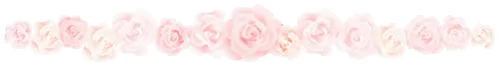 rose divider
